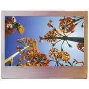 FUJIFILM Instax Wide Film "Brushed Metal" (10lap)