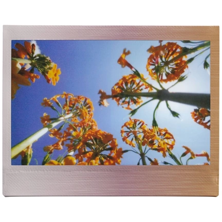 FUJIFILM Instax Wide Film "Brushed Metal" (10lap)