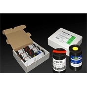 Foma Fomapan 100 135-36 Fekete-Fehér Negatív Kisfilm 6X Szett