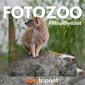 Fotózoo fotópályázat 2025