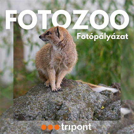 Fotózoo fotópályázat 2025