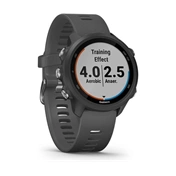 GARMIN Forerunner 245 Black/Grey