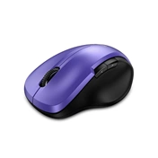 GENIUS Ergo 8200S Ergonomic Wireless Silent Mouse