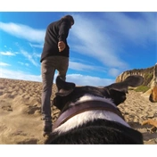 GOPRO Fetch (Dog harness)