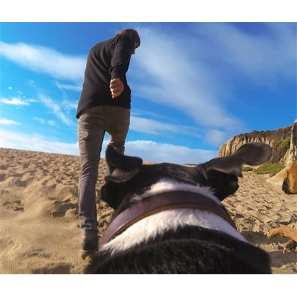 GOPRO Fetch (Dog harness)