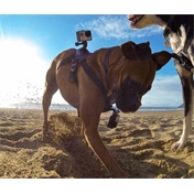 GOPRO Fetch (Dog harness)