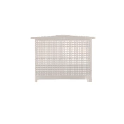 Godox V860II  front acrylic glass