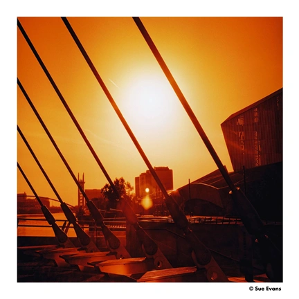 HARMAN RED ISO 125 120 FILM