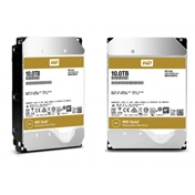 HDD WD Gold 10TB 3,5" 7200RPM 256MB SATA-III
