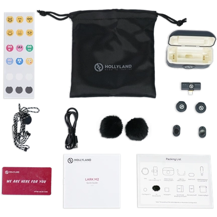 HOLLYLAND Lark M2 with USB-C Plug (Duo, Shine Charcoal)