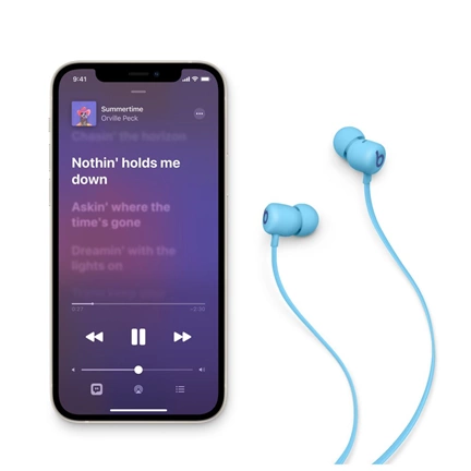 HPE Apple Beats Flex – All-Day Wireless Earphones - Flame Blue