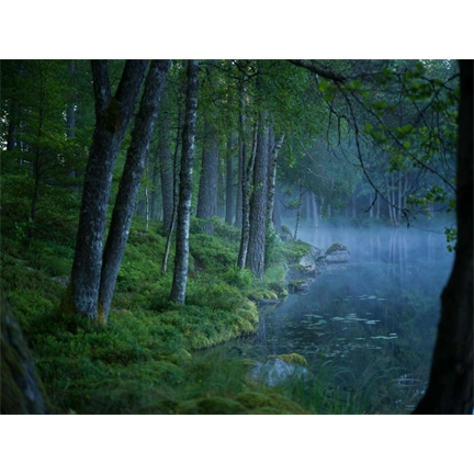 Hasselblad XCD 90mm f/2.5 V objektív