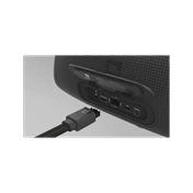 JBL BassPro Go fekete