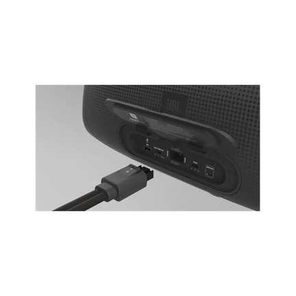 JBL BassPro Go fekete