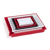 KAISER Lab Tray, 24 x 30 cm (9,4 x 11,8"), red 4168