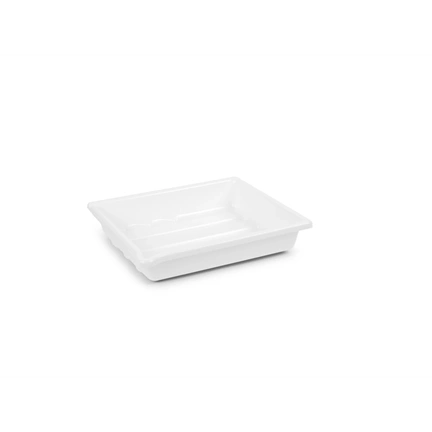 KAISER Lab Tray, 24 x 30 cm (9,4 x 11,8"), red 4168