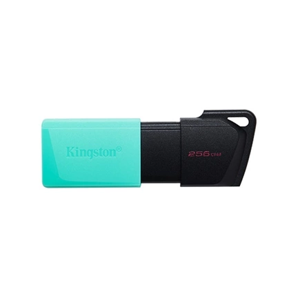 KINGSTON DataTraveler Exodia M USB-A 3.2 Gen 1 256GB