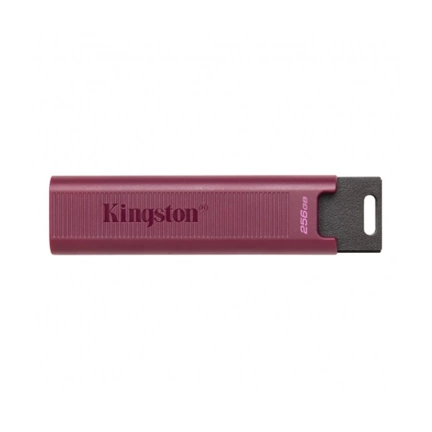 KINGSTON DataTraveler Max USB3.2G2 Type-A 1TB