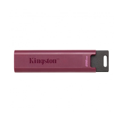 KINGSTON DataTraveler Max USB3.2G2 Type-A 256GB