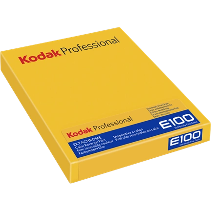 KODAK EKTACHROME E100 8X10 10 SHEETS