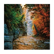 KODAK EKTAR 100 COLOR 135-36