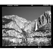 KODAK T-MAX TMX 100 125X5