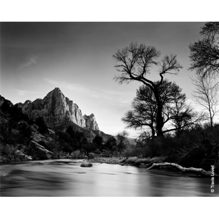 Kodak TMX 100 4x5 50lap