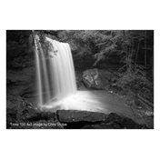 Kodak TMX 100 4x5 50lap