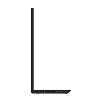 LENOVO ThinkVision M15