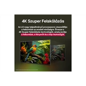 LG 55NANO81A3A televízió - 55" NanoCell AI NANO81 4K Smart TV