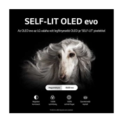 LG OLED evo C2 55" 4K Smart TV