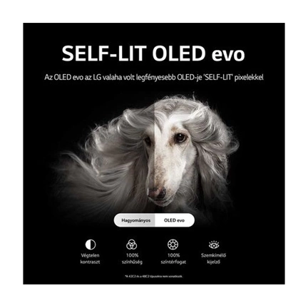 LG OLED evo C2 55" 4K Smart TV