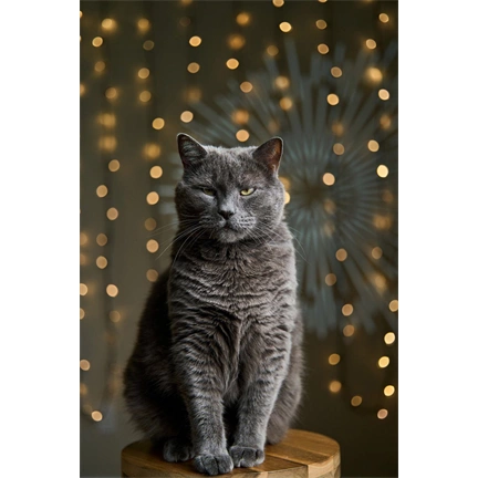 Laowa 58mm f/2.8 2X Ultra Macro APO L Mount objektív