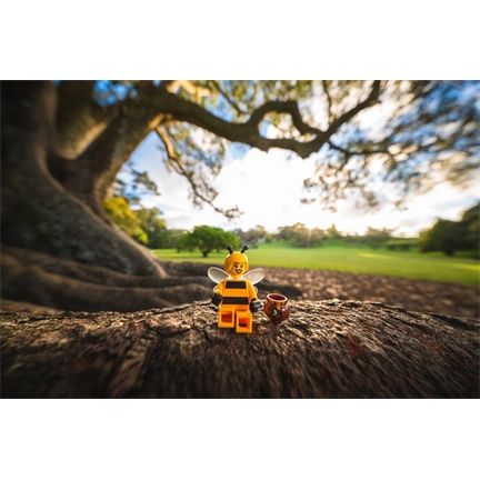 Laowa 10mm f/2.8 Zero D FF Auto Focus Sony FE