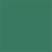 Lastolite Paper 2.75 x 11m Pine Green