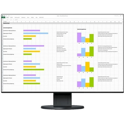 MON EIZO FlexScan EV2456-BK 24"