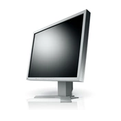 MON EIZO S2133-GY 21,3" grey