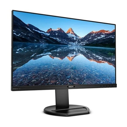 MON PHILIPS 25" LED 252B9/00