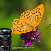 OM System M.Zuiko Digital 12-100mm f/4 ED IS PRO objektív (fekete) - 80 000 Ft cashback 2026/01/06-ig