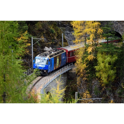 NIKON 300mm f/4 E PF ED VR AF-S NIKON 300mm f/4 E PF ED VR AF-S