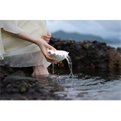 Nikon Nikkor Z 24-70MM F2.8 S II objektív