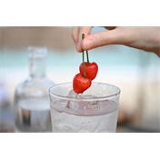 Nikon Nikkor Z 24-70MM F2.8 S II objektív