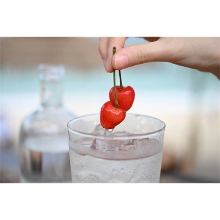 Nikon Nikkor Z 24-70MM F2.8 S II objektív