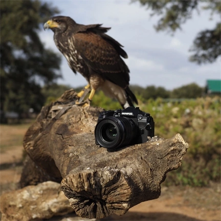 OM System M.Zuiko Digital 25mm f/1.2 ED PRO objektív - 120 000 Ft cashback 2026/02/15-ig