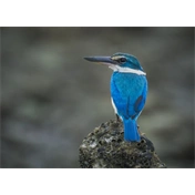 OM System M.Zuiko Digital ED 100-400mm II F5.0-6.3 IS objektív (fekete) - 80 000 Ft cashback 2026/01/06-ig