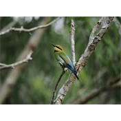 OM System M.Zuiko Digital ED 100-400mm II F5.0-6.3 IS objektív (fekete) - 80 000 Ft cashback 2026/01/06-ig