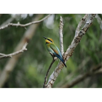 OM System M.Zuiko Digital ED 100-400mm II F5.0-6.3 IS objektív (fekete) - 80 000 Ft cashback 2026/01/06-ig