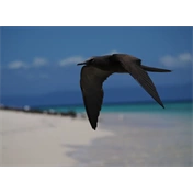 OM System M.Zuiko Digital ED 100-400mm II F5.0-6.3 IS objektív (fekete) - 80 000 Ft cashback 2026/01/06-ig