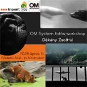 OM System fotós workshop Dékány Zsolttal az Állatkertben - 2025. április 11.