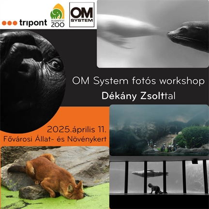 OM System fotós workshop Dékány Zsolttal az Állatkertben - 2025. április 11.